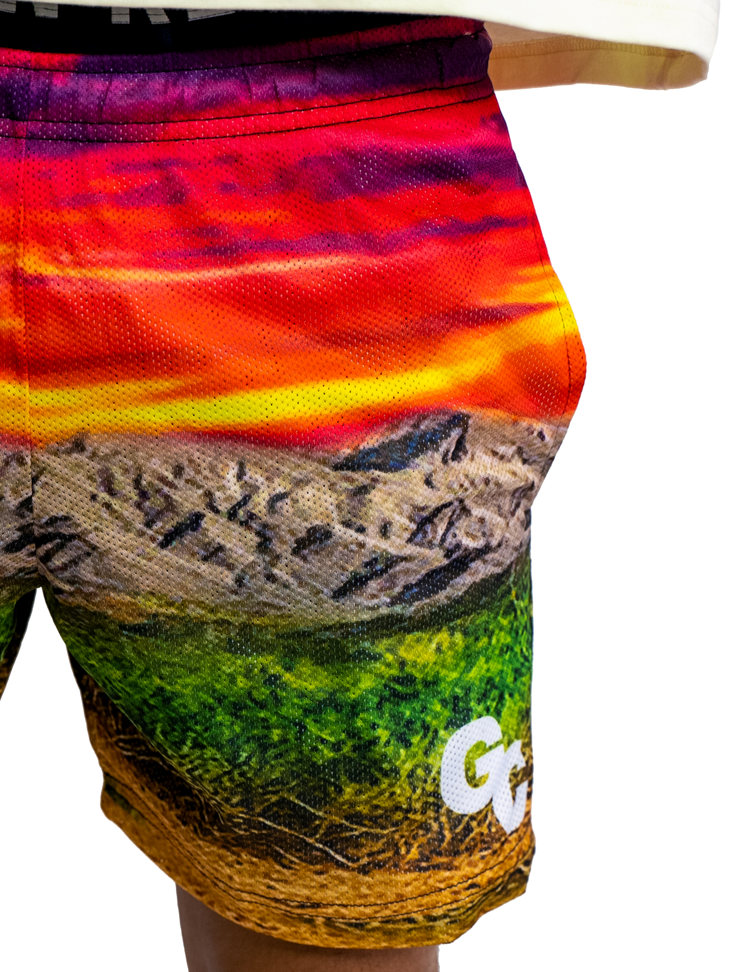 "480" Shorts