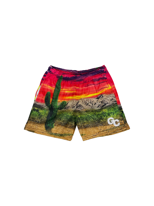 "480" Shorts